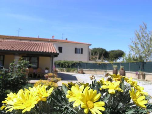 Agriturismo Podere San Michele San Vincenzo Eksteriør bilde
